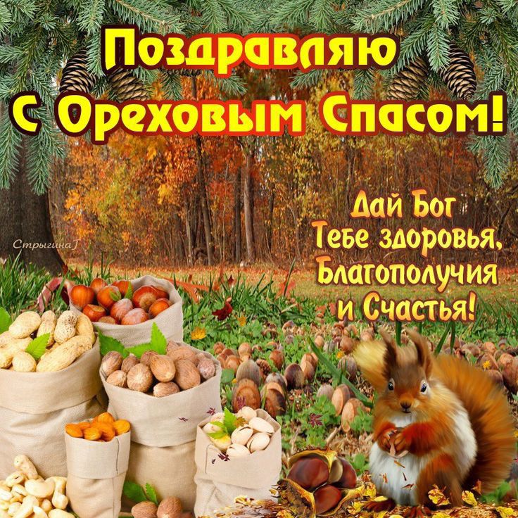 Аай Бог Теве здоровья