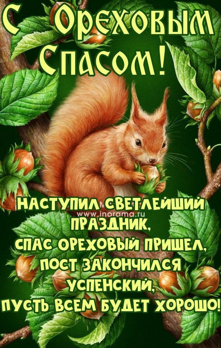 евыми ъ _ л ЁЁ 1 Ё тупмьпсввтмишииь шгдздник 79 спАс огвдоЁЁГи пгишм остьзикончипся успвнскиицд пусть ВСЕМ Вудп хорошо мёда