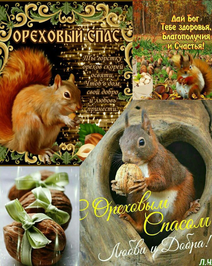 Дай Бор іеве здоровьж