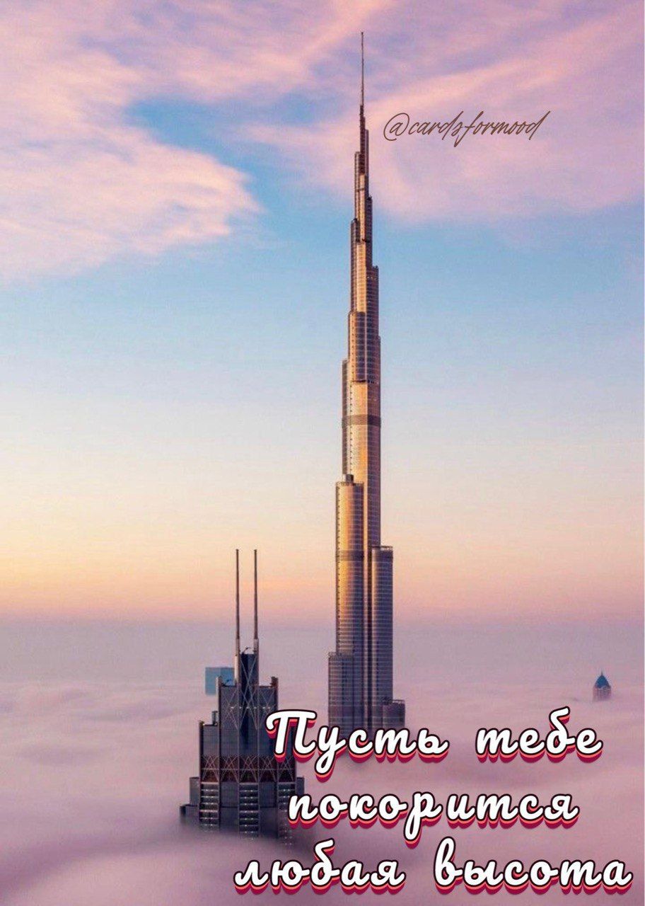 фю б ааъдаылота