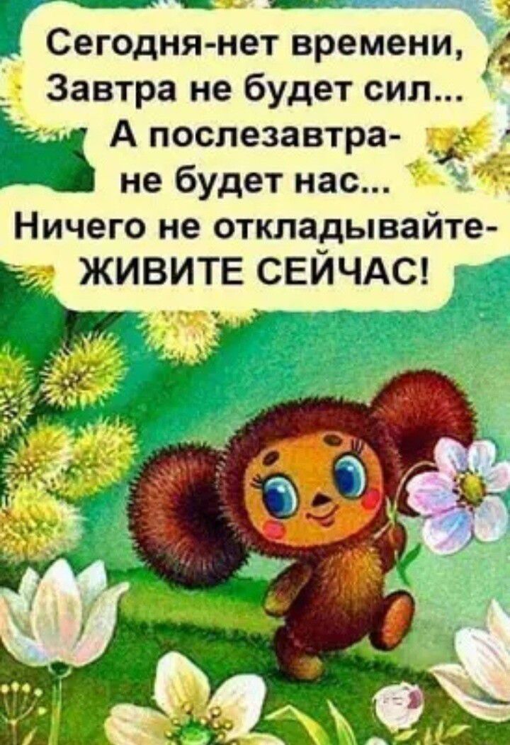_ Сегодня нет времени _ _ Завтра не будет сил и А послезавтра __ _ не будет нас Ничего не откладывайте ЖИВИТЕ СЕЙЧАС