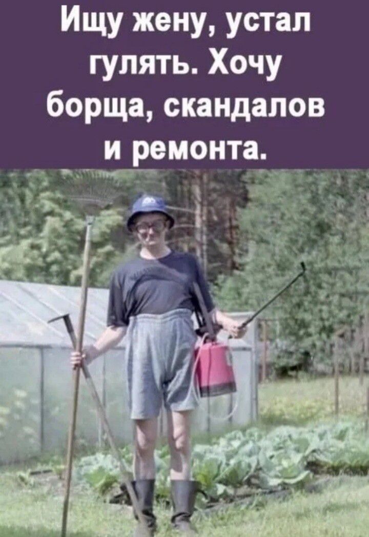Ищу жену устал гулять Хочу борща скандалов _ ИАРОМОНТЗ