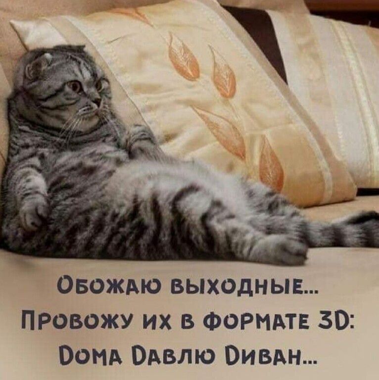 Овождю выходныв ПРовожу их 5 Формы 30 Бонд Одвлю Вивдн