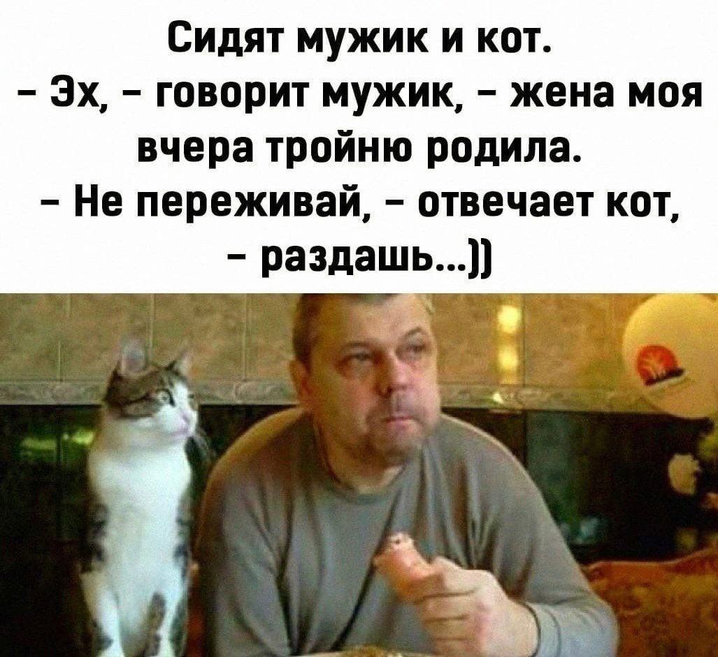 Сидят мужик и кот 3х говорит мужик жена моя вчера тройню родила Не переживай отвечает кот раздашь