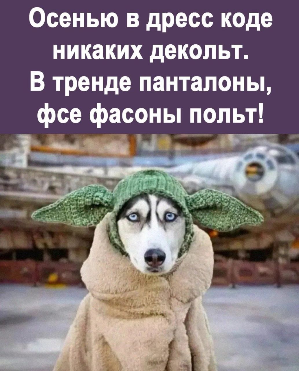 Осенью в дресс коде никаких декольт В тренде панталоны фсе фасоны польт ___ь _ _