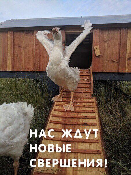 1 _ днк ждут новыв свершвнияд
