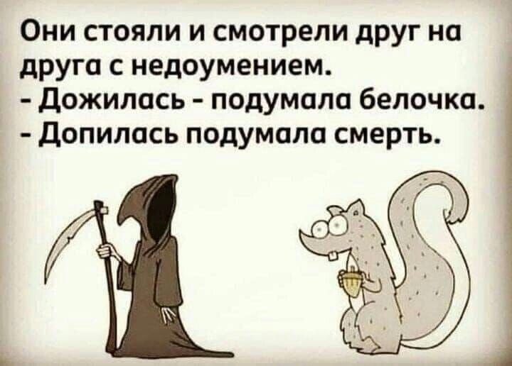 Они стояли и смотрели друг на друга недоумением дожипась подумала белочка Допипась подумала смерть