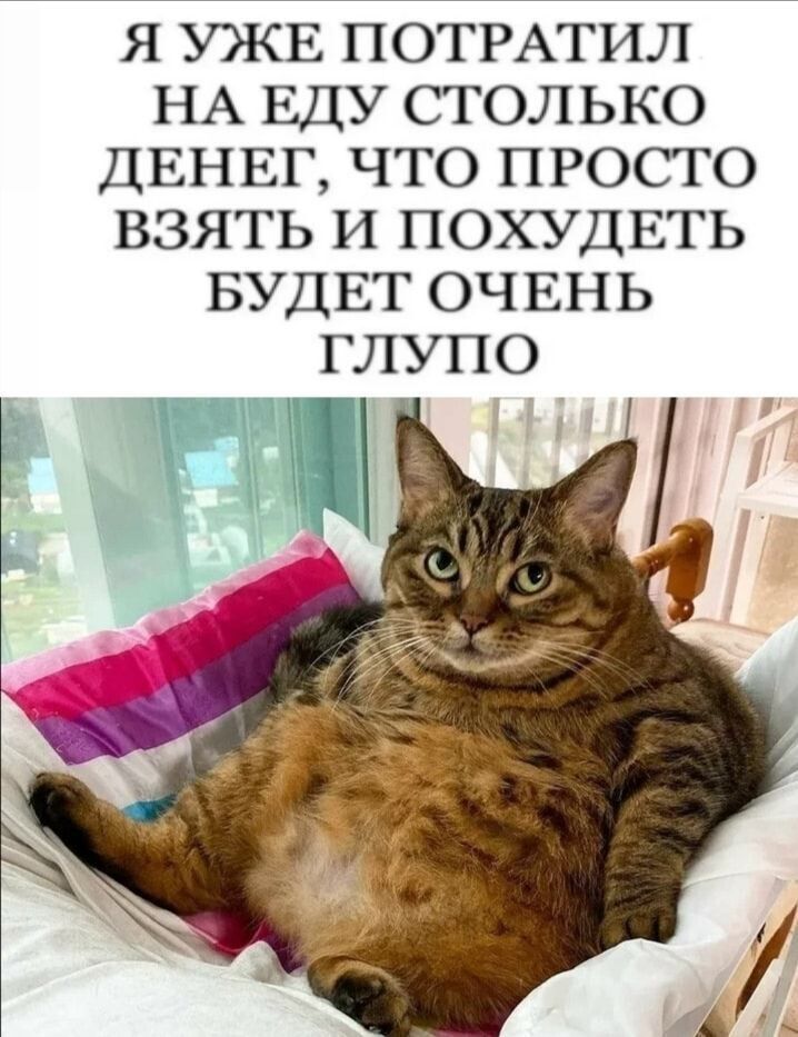 Я УЖЕ ПОТРАТИЛ НА ЕДУ СТОЛЬКО ДЕНЕГ ЧТО ПРОСТО ВЗЯТЬ И ПОХУДЕТЬ БУДЕТ ОЧЕНЬ ГЛУПО