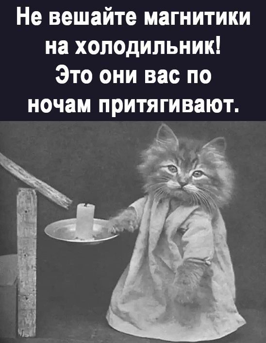 Не вешайте магнитики на холодильник Это они вас по ночам ПРИТЯГИВЗЮТ