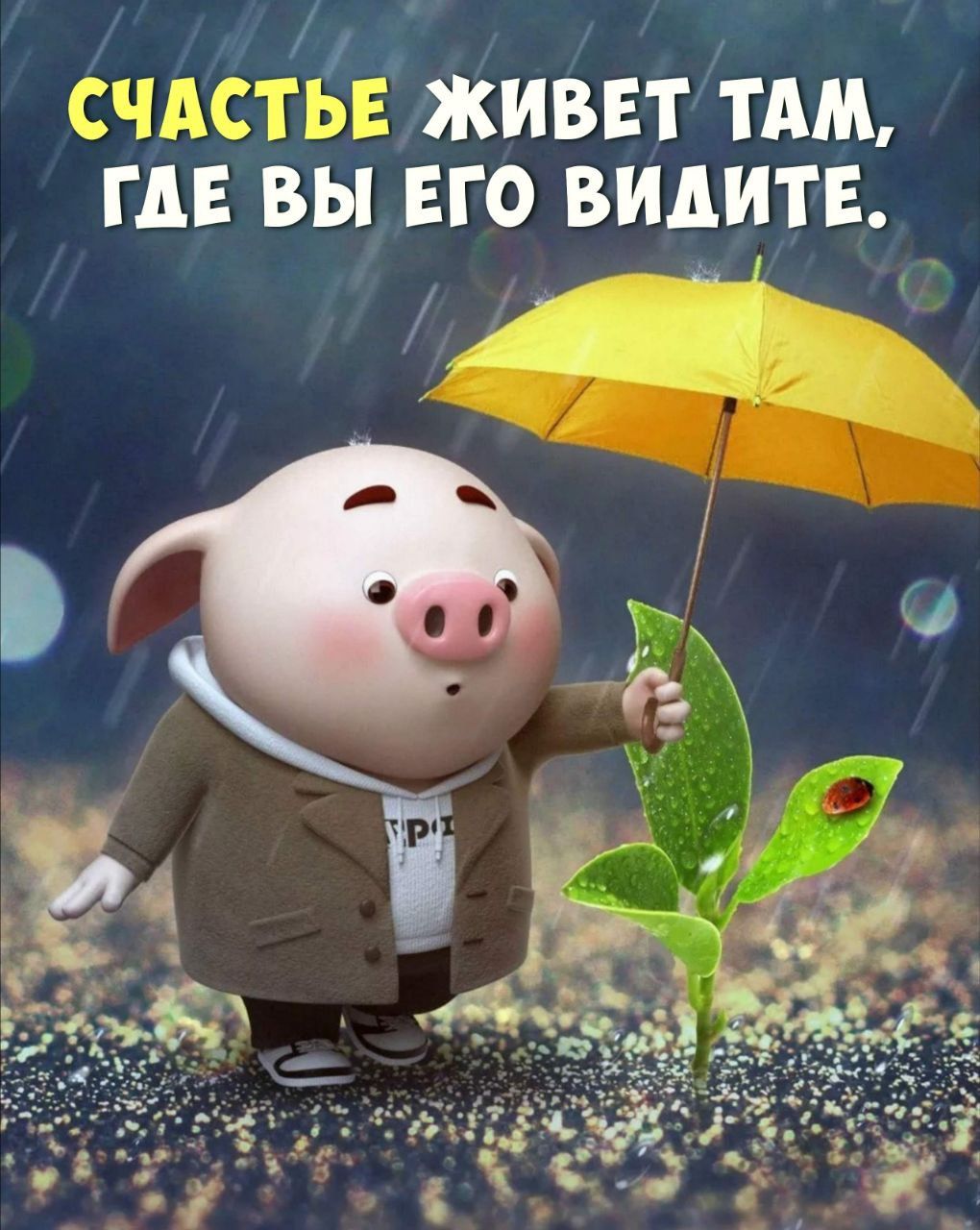 ЖИВЕТ ТАМ ГДЕ ВЫ ЕГО ВИДИТЕ
