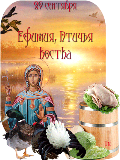 Ёчаевтвйг _ гіфснашэъ Ггачш Мидии _