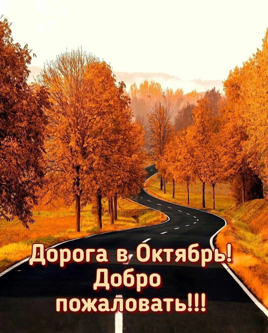 ДороЁа бктябрь Добро пожаііовать
