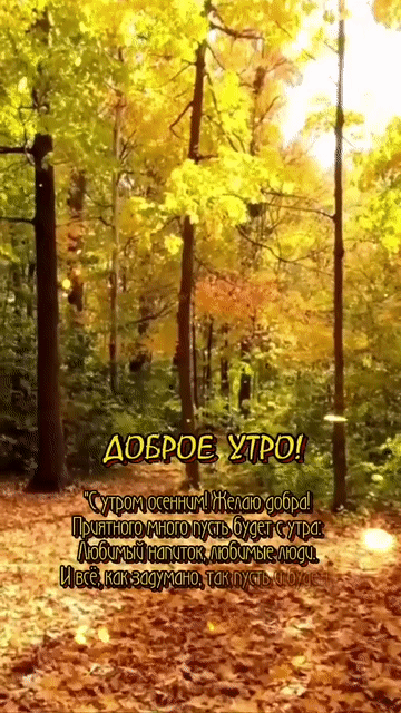 _ я тг и