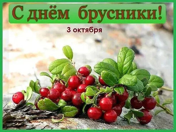 С днём брусникиц 3 октября