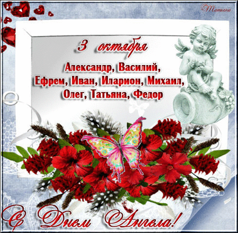 Ампир Шмитт щииИииИлдриоичИшип Флаг Пан иа фаши