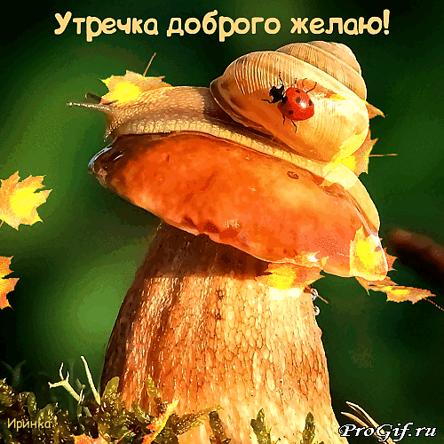 Утречка доброго желаю