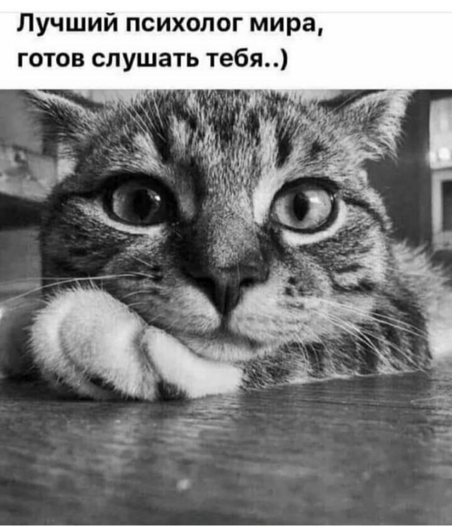 Лучший психолог мира готов слушать тебя