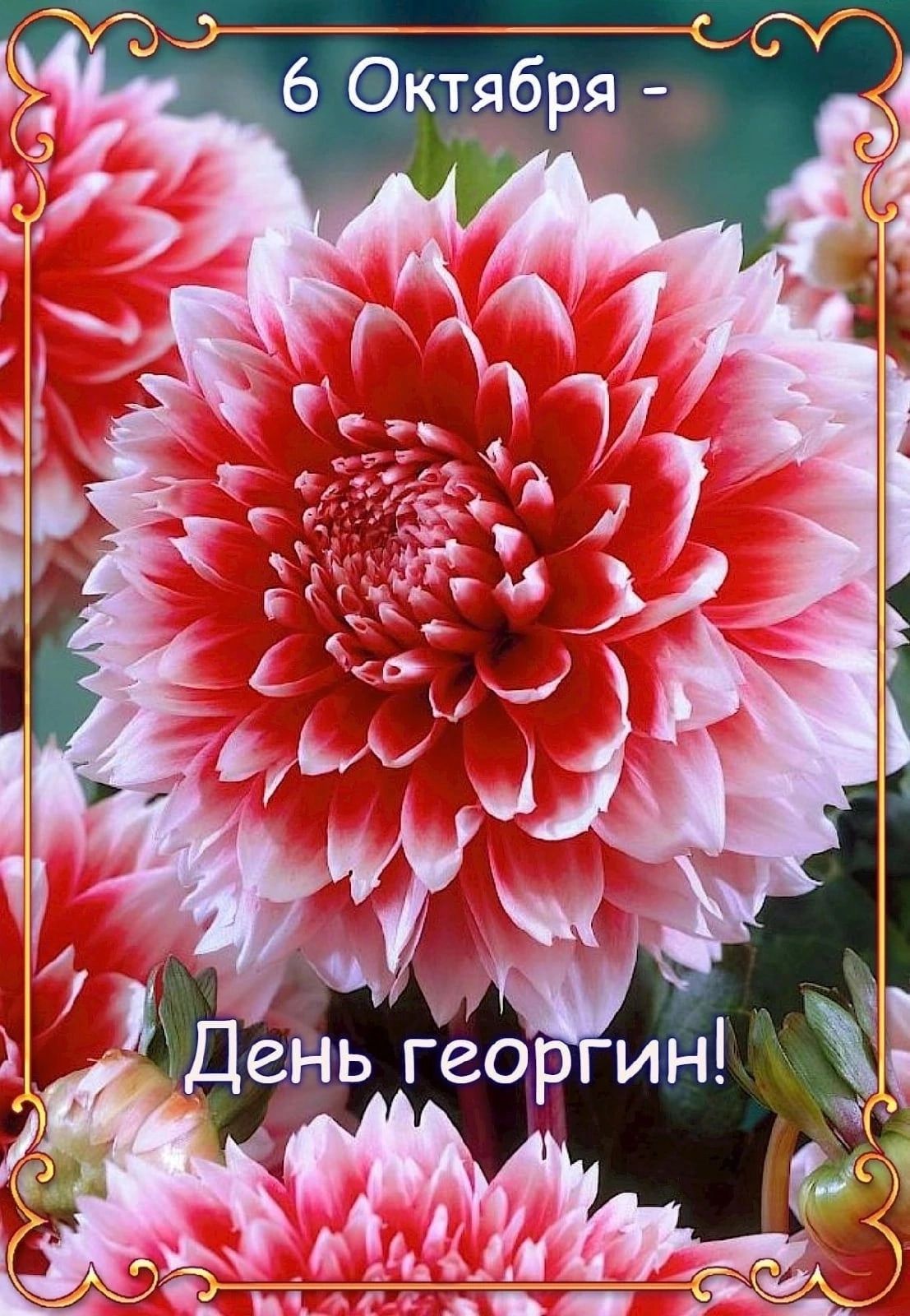_99 6 Октября