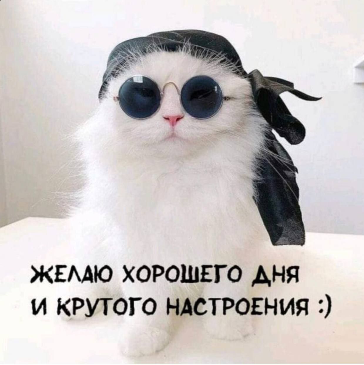 жвмю хорошие Аня и крутого ндстровния