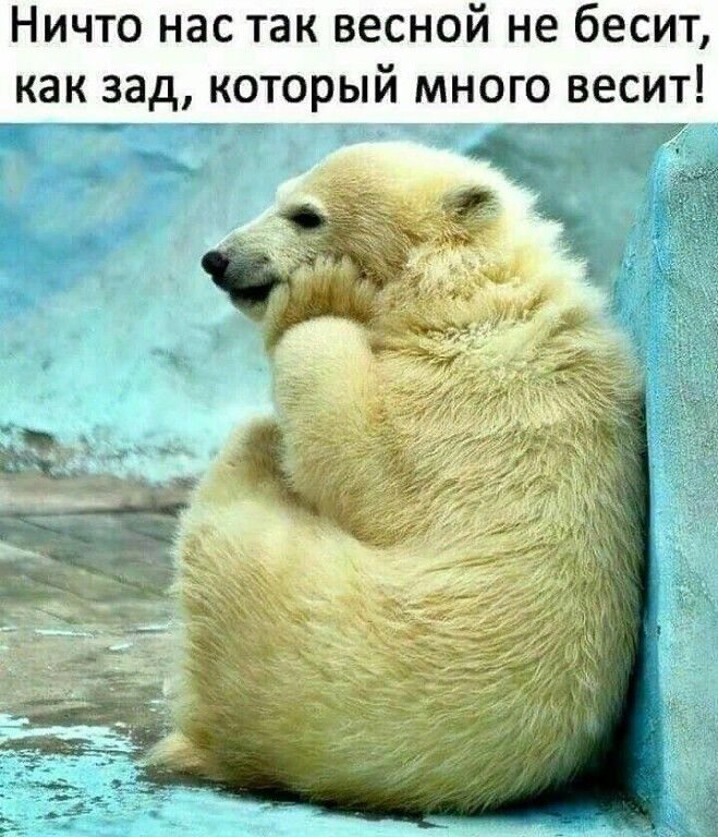 Ничто нас так весной не бесит как зад который много весит