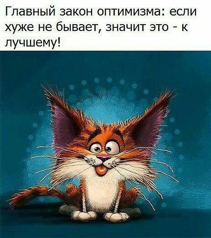 Главный закон оптимизма если хуже не бывает значит это к лучшему