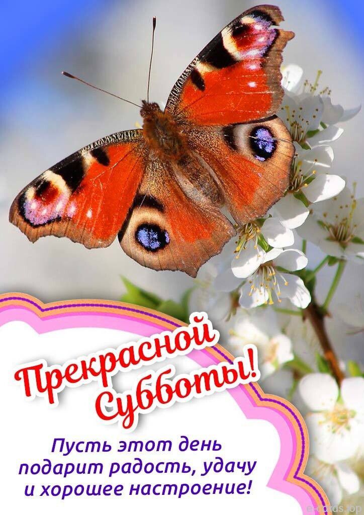 Пусть этот день подарит радость удачу и хорошее настроение