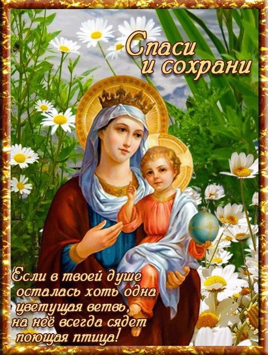 боли в твоеи душе осталась хоть одни Ёёетущдя ветви на неё всегда сядет поющая птица _л
