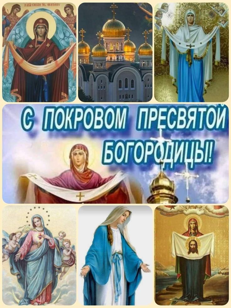 ддт