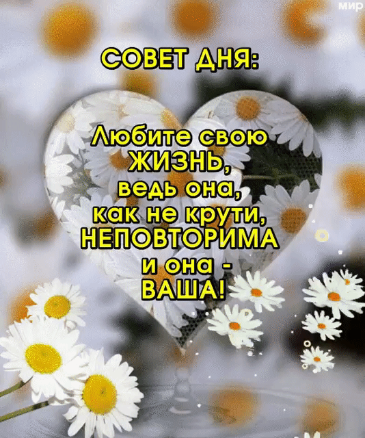 _ сваю Ж4И 3НЬ
