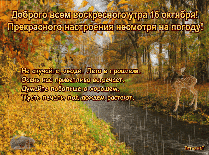 _ 151 доброго все_м воскре у ра16_ кгября есмотрядна погёу