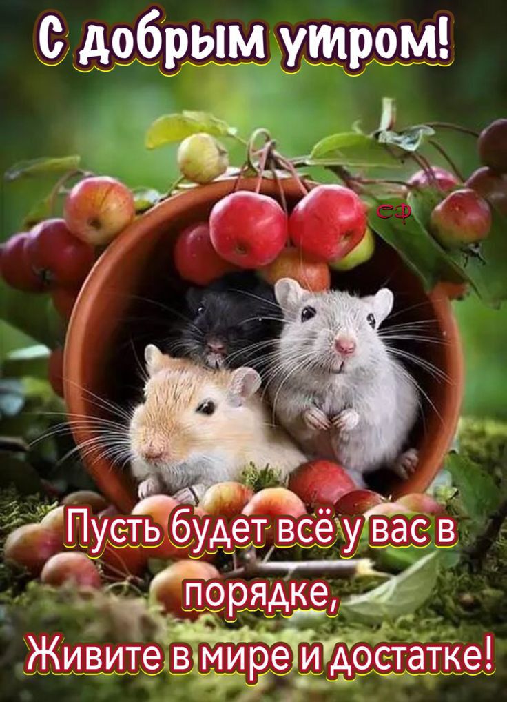 О_добрым утром _ ь 7633 77 і _ Ййстьб егЁсётЁёЁ ___у _УАд__ у ёёфядкаі 7 Живите в шивеуидочатке
