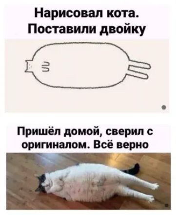 Нарисовал кота Поставили двойку Пришёл домой сверили оригиналом Всё верно