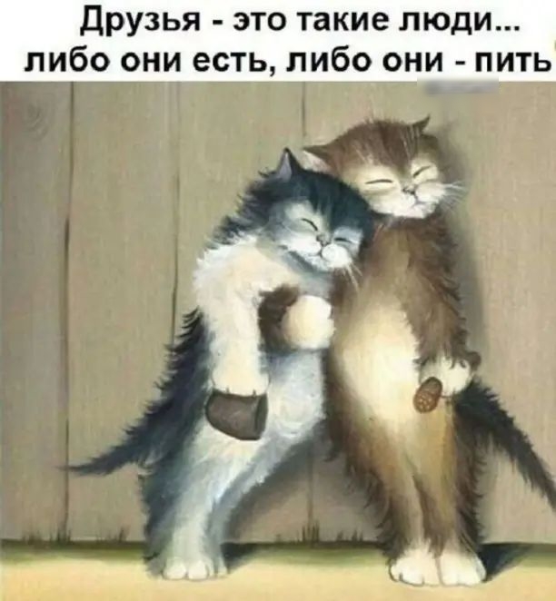 друзья это такие люди либо они есть либо они пить мщ