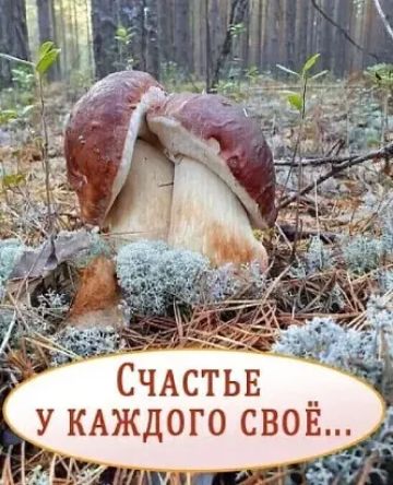 СЧАСТЬЕ У КАЖДОГО свов ЁЫЪУ чим а