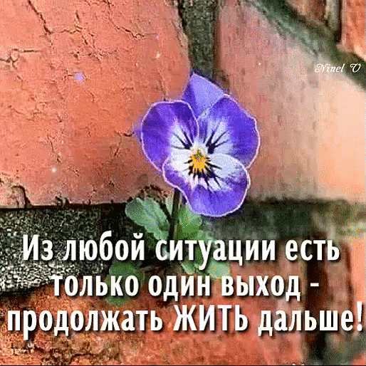 зддюбойщсиуации естБ д Ьлько одинЪпход продолжать ЖИТЬ дільше