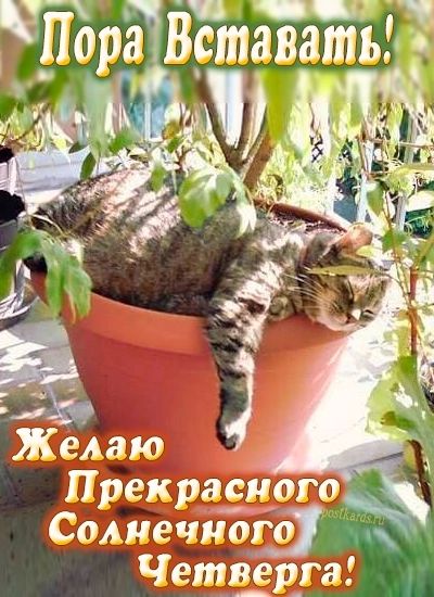 РПЪрв ВЁтЛгйпМ И тд Прекргіирт Сол печиот Четдгруэ
