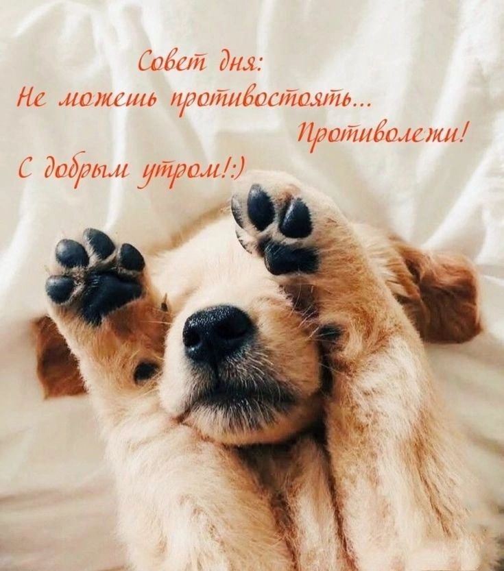 тЫі Мч М пшикщ щттитшішмпл Щшдшгіщгмл РидУмм _1іШиі_