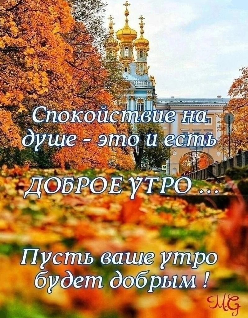ДОБРОЕ УТРО Пусть ваше утро бу дет добрым