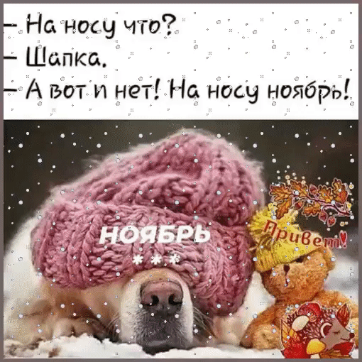 Нансен что Шапка А вот и нет На носу ноябРь