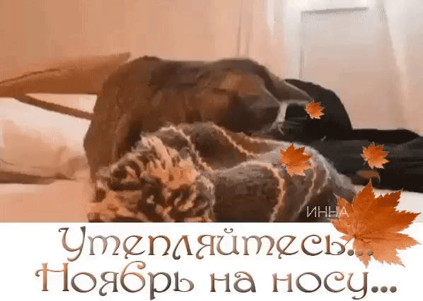 7 7У_ д _2_пдя1пх7еьі хюёюрь на 11069
