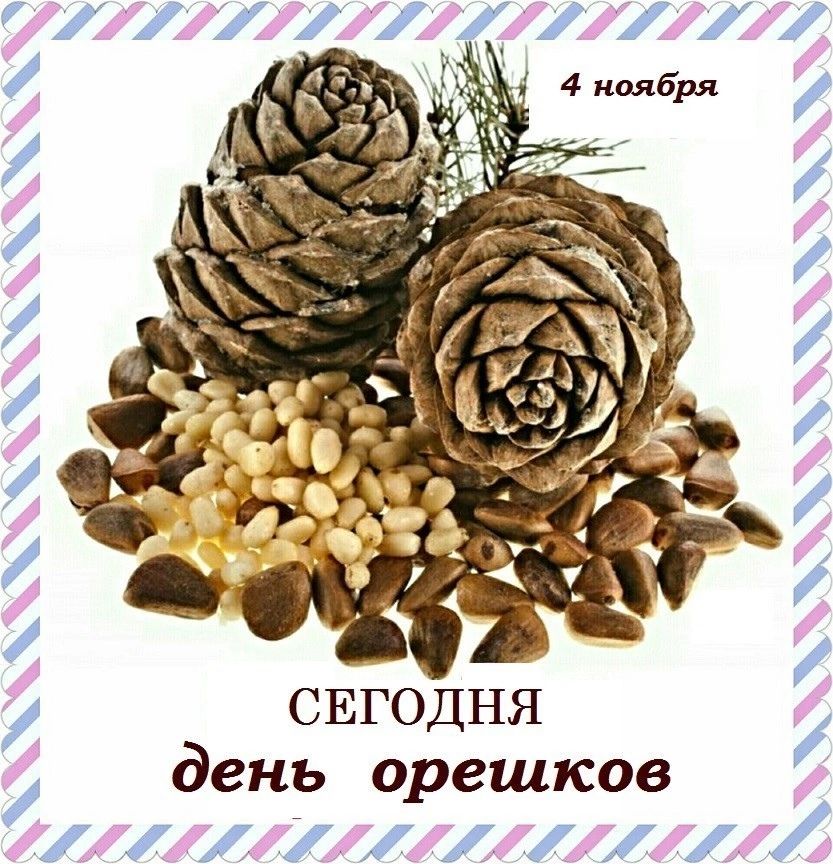 СЕГОДНЯ день орешков і 1 1 х