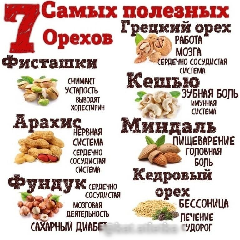 амъпэйг шаш 1 ещеийо ек ХФВ р и мвотпр МОЗГА Фисташки тттёжпипш Кешъю озяюпь Хшвсгит 13 итд Арт Минц аль снам пиьёечънив ЧЁ Квт системи к ед 0351й Фи ндУкёопшш 0588 мозгами БЕССОНИЦА іьпвчвнив 54 ЦИАБЕЬ дорог