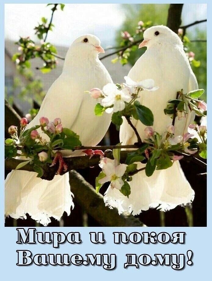 Щ днищ