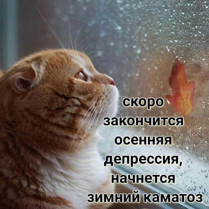 осенняя депрессия начнется Эыч зимниикамат