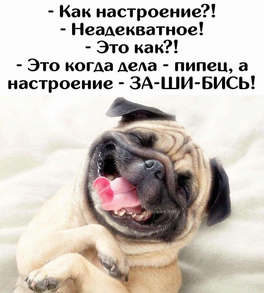 Как настроение Неадекватное Это как Это когда деда пипец а настроение ЗАШИБИСЬ