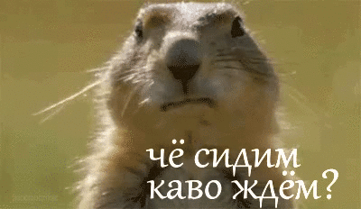 ЁЁЁЖЪ