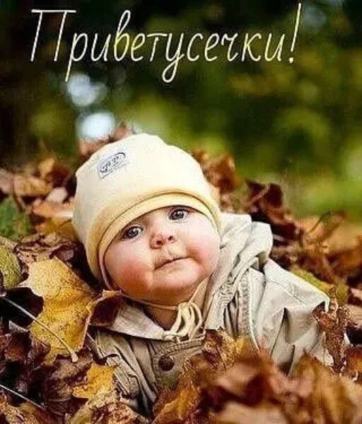 Птбетусеты