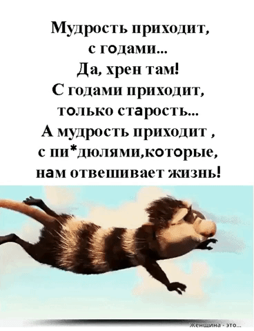 Мудрость приходит с годами Да хрен там С годами приходит только старшть А мудрость прихолит с пидюлямикоторыс иам огвсшива ишзнь