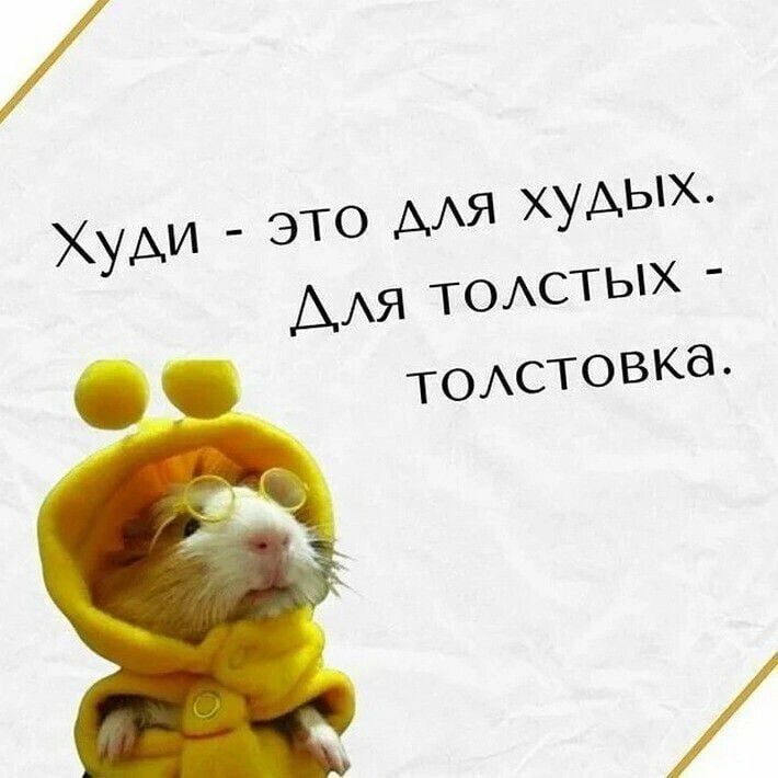 ХУАИ это МЯ худых ААя ТОАСТЫХ ТОАсТОВКд