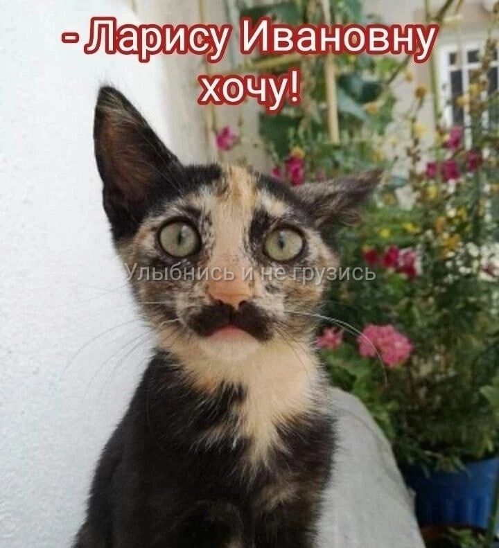 ЛарисЁИвановну